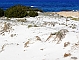 Kritvita duner vid Capo Comino