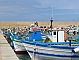 Fiskebåtar i Castelsardo